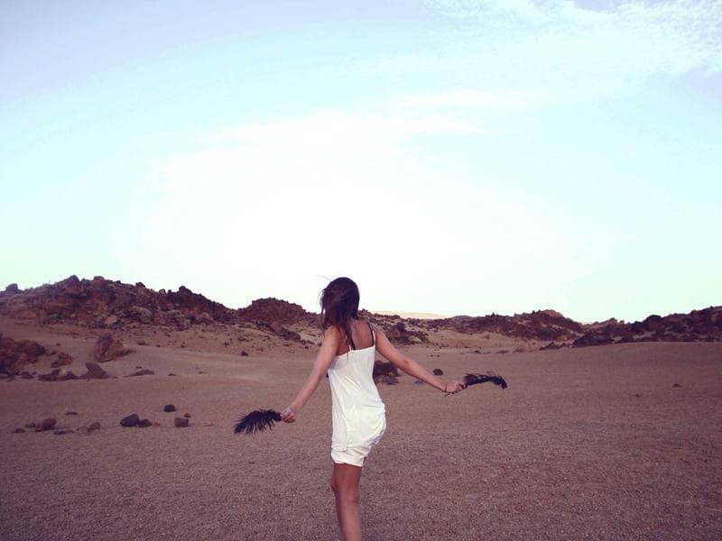 multiquip lth8d main